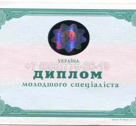 Диплом Техникума Украины 2012г в Ростове-на-Дону